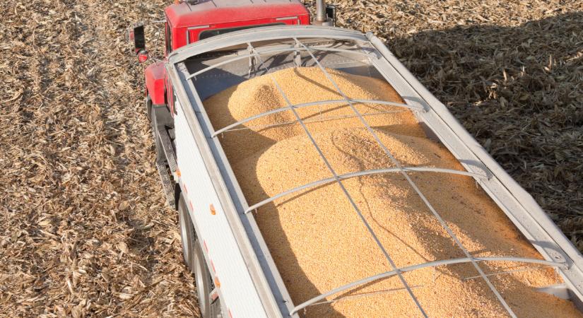 Levelet írtak Brüsszelbe a hazai agrárágazati szervezetek