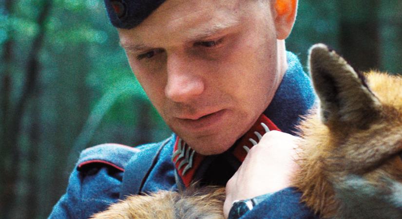 Külföldi alkotók és szakértők, rengeteg közönségtalálkozó: hamarosan indul a Szemrevaló Filmfesztivál