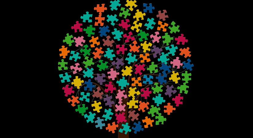 Konferencia magyartanároknak