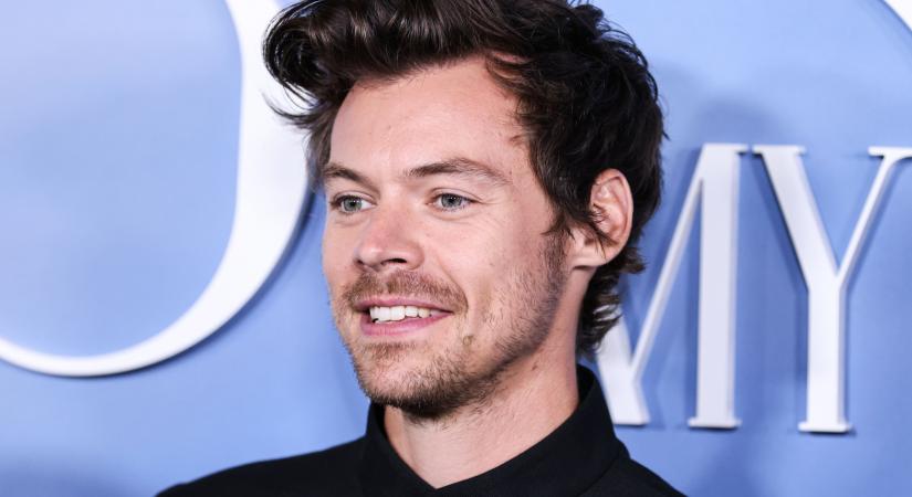 Harry Styles új kapcsolatát trollkodják a neten