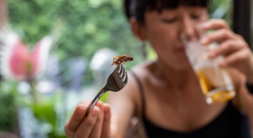 Megszűnhet az éhezés, mégis undorodunk tőlük: hazánkba is betört a rovarbiznisz
