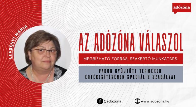 Az Adózóna válaszol: vadon gyűjtött termékek értékesítésének speciális szabályai