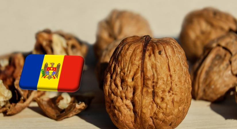 Moldova: sokat késik a dióbetakarítás a szárazság miatt