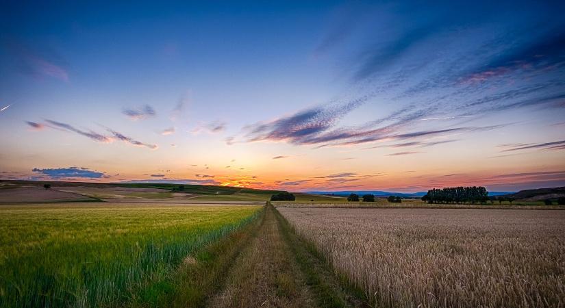 Október közepén indul az agrártámogatások előlegfizetése