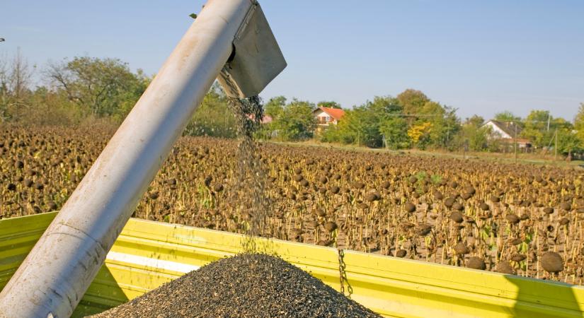 Itt a friss előrejelzés: mutatjuk, milyen idő vár a földekre a következő napokban