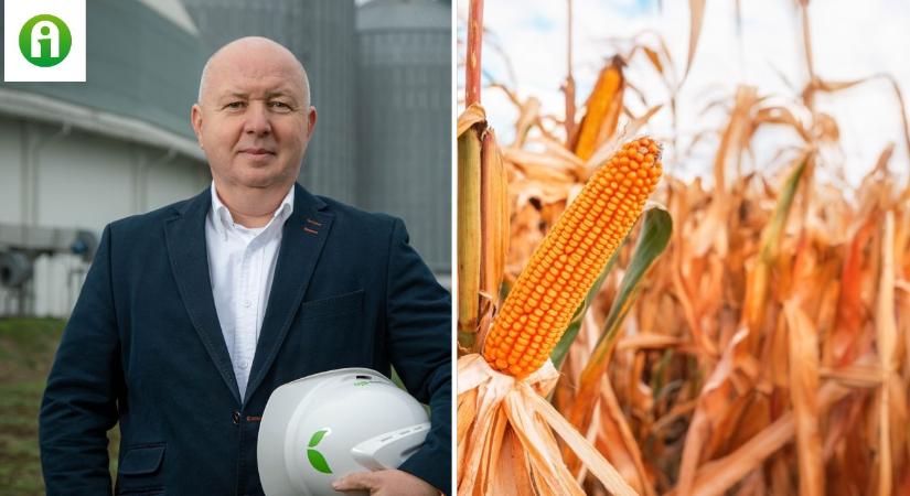Pannonia Bio: ha kukorica helyett mást termesztenek a gazdák, nőhet az exportkitettség