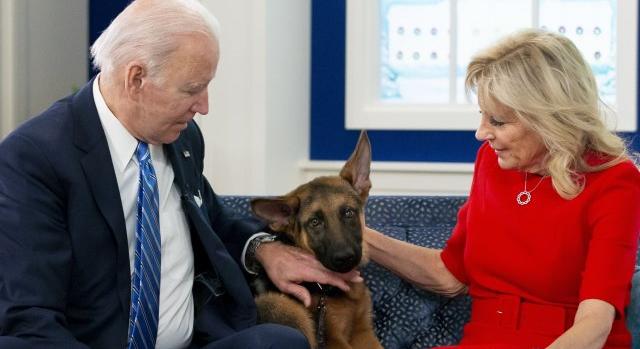 Két év alatt már 11-szer harapott meg titkosügynököket Joe Biden kutyája