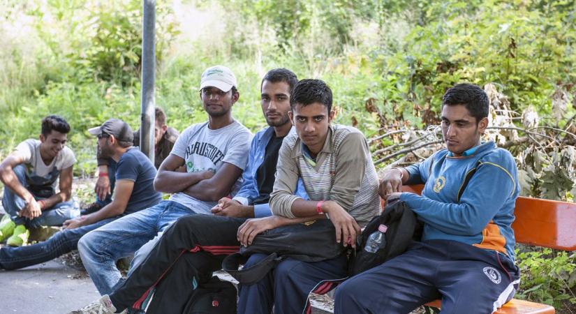 Megőrülnek a németek: ingyen fogászat jár a migránsoknak, ők viszont nem kapnak időpontot