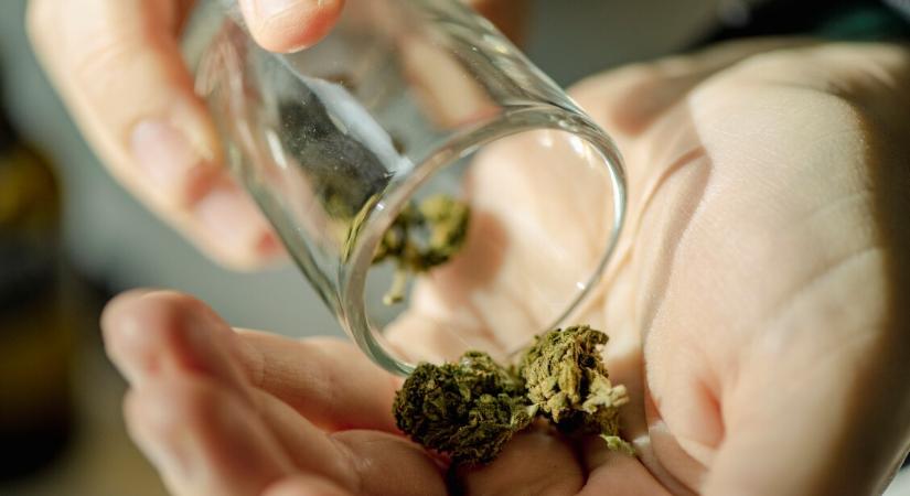 Kannabisszal enyhítenék a menopauza tüneteit a nők