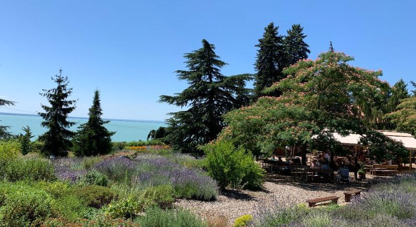 A Balaton édenkertje – Folly Arborétum és Borászat