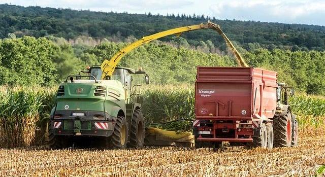 OMSZ: jól lehet haladni a betakarítással, a csapadék sokat segített a repce optimális fejlődéséhez
