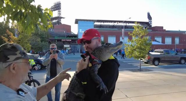 Nem mehetett be a stadionba a baseball-szurkoló lelki társával, egy aligátorral
