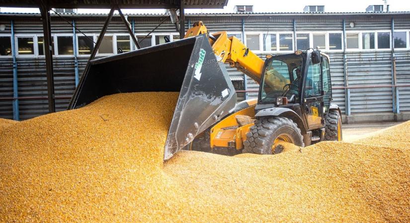 Több mint hatszázmillió eurós egyenlegromlást hozott az agrár-külkereskedelem első fél éve
