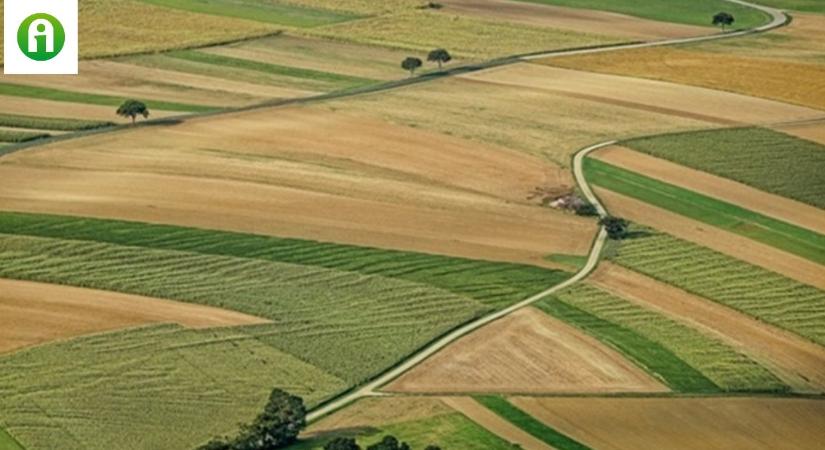 Év végén minden mezőgazdasági szereplőnek el kell gondolkodni azon, hogy hogyan tovább