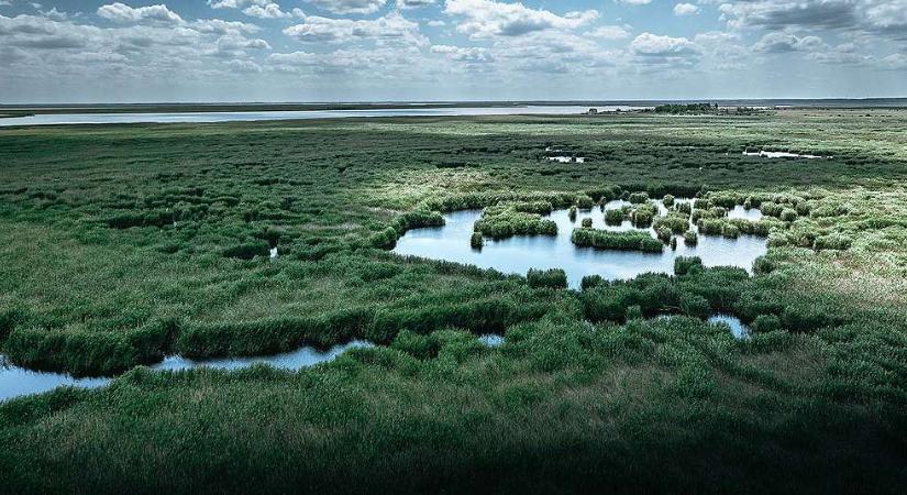 Nyertek a zöldek: Fellélegezhet a Fertő tó