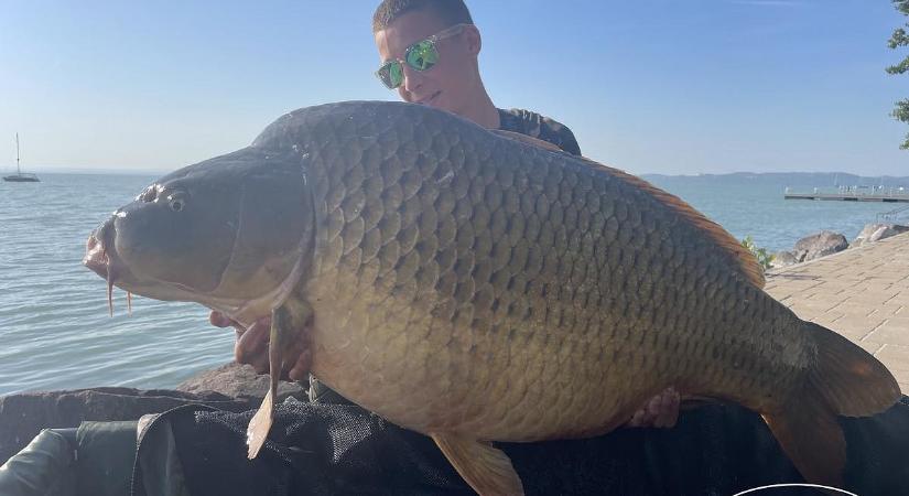 Újabb 30 kiló feletti halat fogtak ki a Balatonból