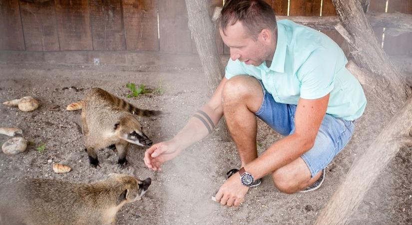 Egyéves születésnapját ünnepli az előszállási állatkert