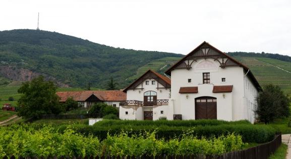 A magyaroknak változtatnia kellene az utazási szokásaikon?