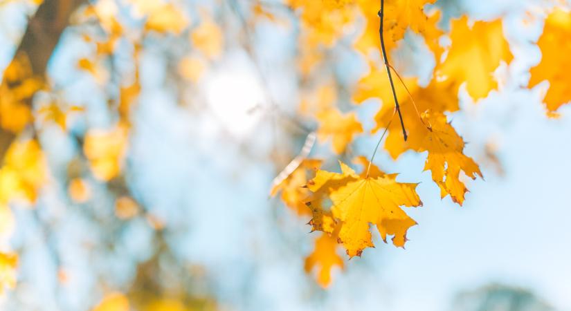 Orvosmeteorológia: kellemes idővel búcsúzik a szeptember