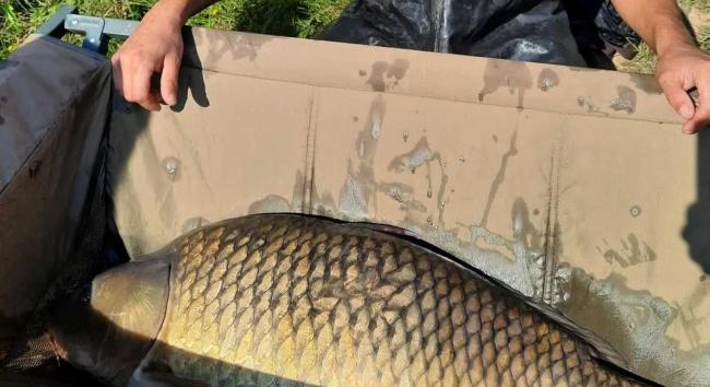 Éledezik a Rakaca-víztározó: 21 kilós pontyot fogott egy horgász