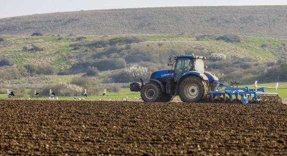 Felborult a traktor meghalt a traktoros Pécsbagota határában