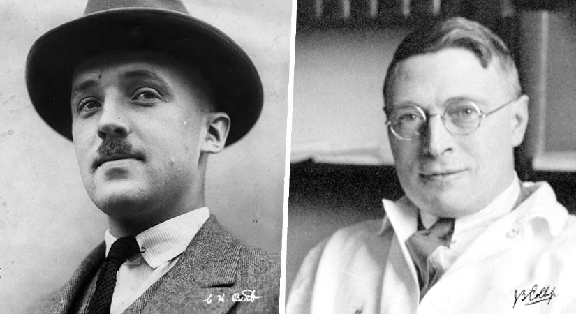 Véletlenek sorozata, összecsapó kutatói egók és heves indulatok kísérték az inzulin felfedezéséért járó Nobel-díj átadását