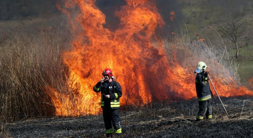 Szabadtéri tüzekhez riasztották a hajdú-bihari tűzoltókat