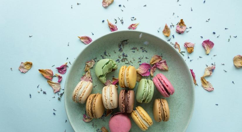 Macaroniskola – Beiratkozol?