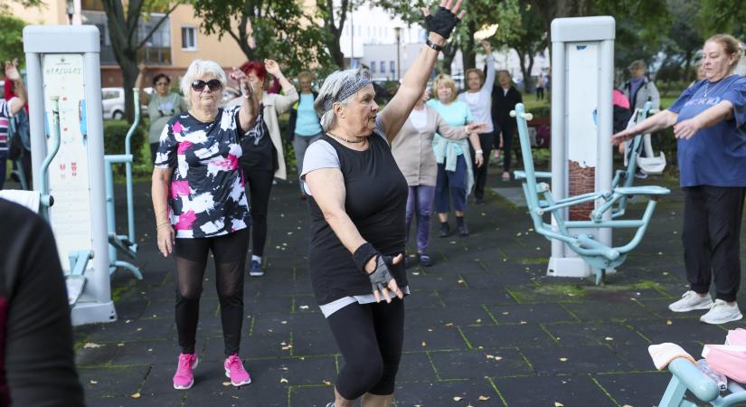 Szeniortorna a Barátság Parkban