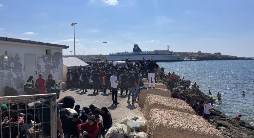 „Álprobléma”: így randalíroznak Európa utcáin az agresszív migránsok  videók