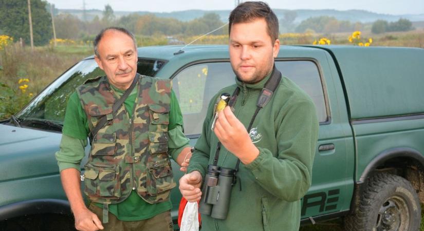Gyűrűt kaptak a madarak az európai megfigyelő nap bátonyterenyei bemutatóján