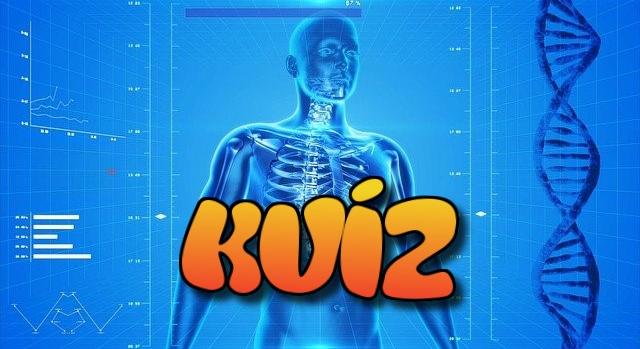 Biológia kvíz: Mennyit tudsz az emberi testről? Meglesz a 10/10?