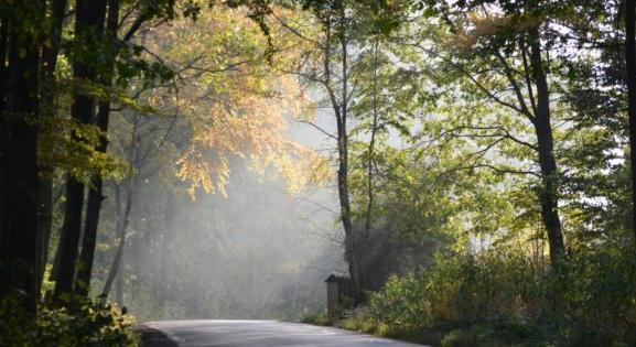 Nemsokára ízelítőt kapunk a vénasszonyok nyarából