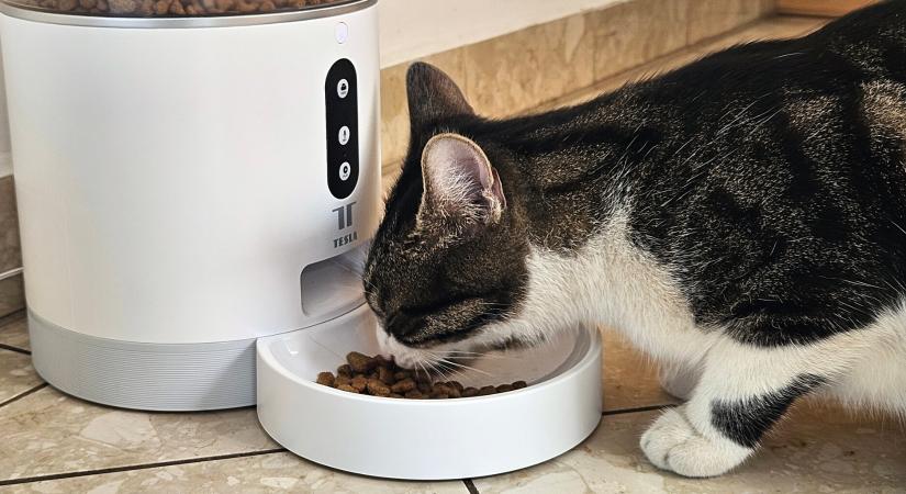 Tesla Smart Pet Feeder - zabagép
