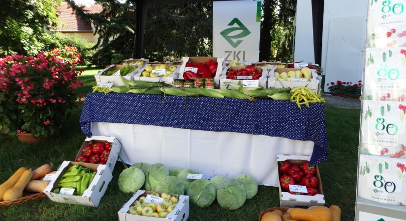 Jól csengő kereskedelmi márka lett a ZKI