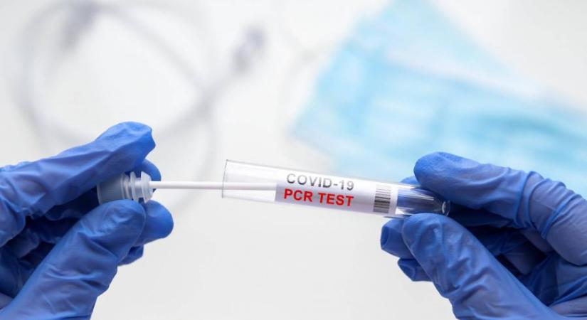 A Bayer Zsolt felesége által irányított Vérellátó Szolgálat milliárdokért vett PCR-teszteket Bayerné ismerőseinek cégétől