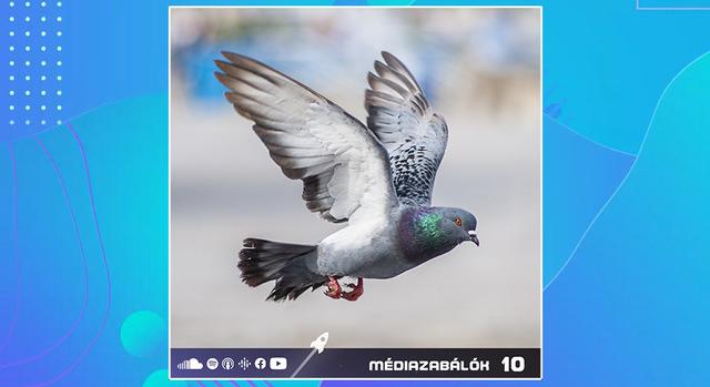 Az áltudományok kora