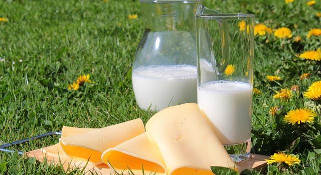 Újra megjelent a piacon az olcsó külföldi dobozos tej és a félkemény sajt, ellehetetleníti a hazai tejipar működését