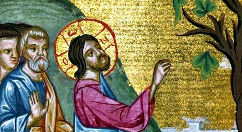 Jézus és a nem termő fügefa történetének három változata