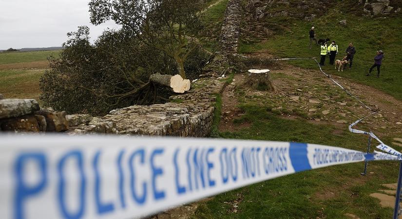 Sokkolta a briteket kedvenc fájuk értelmetlen elpusztítása