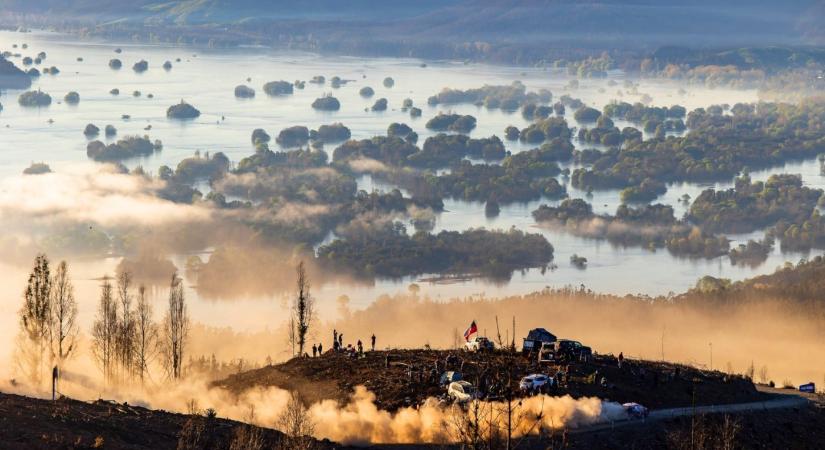 WRC: Tanak nyert, a Toyota a világbajnok!