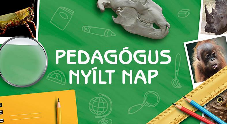 Pedagógus nyílt nap a fővárosi állatkertben