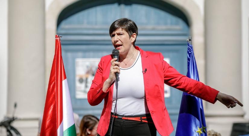 Az egyik leggazdagabb magyar politikus, Dobrev szerint fizessenek azok, akik luxusban élnek