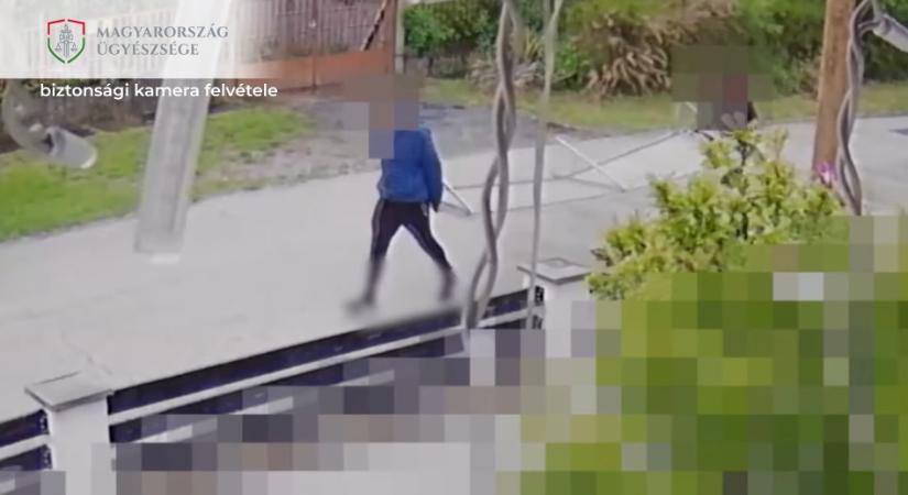 A tulajdonosba botlottak a menekülő tolvajok Dorogon