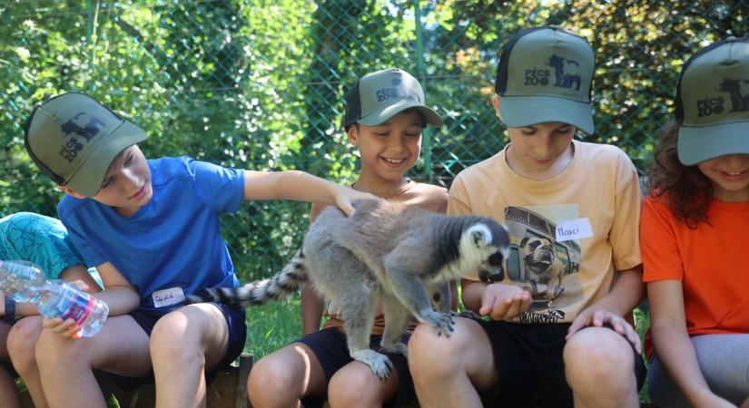 Ősszel is várja a zoo-tábor a gyerekeket