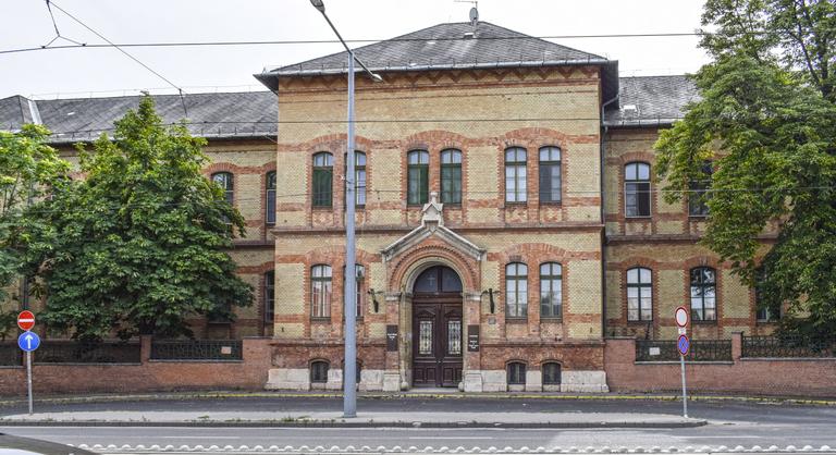 Újabb magyar kórházban jelentek meg ágyi poloskák