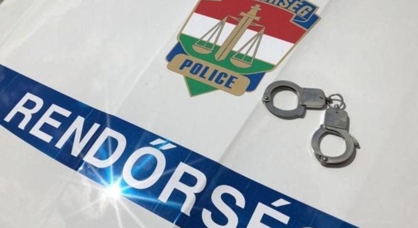 Őz szaladt ki a segédmotoros elé Békéscsabán