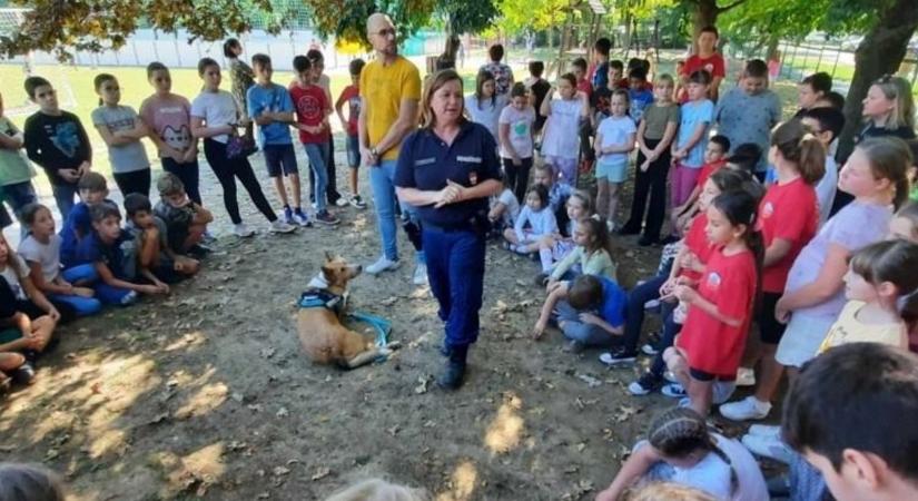 Állatvédelemmel kapcsolatos előadások kicsiknek, nagyoknak