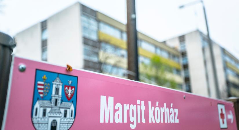 Ágyi poloskák miatt kellett kiüríteni a Szent Margit Kórház egyik osztályát