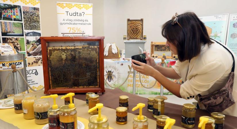 Budapesten döngicsélnek tovább a pécsi méhecskék